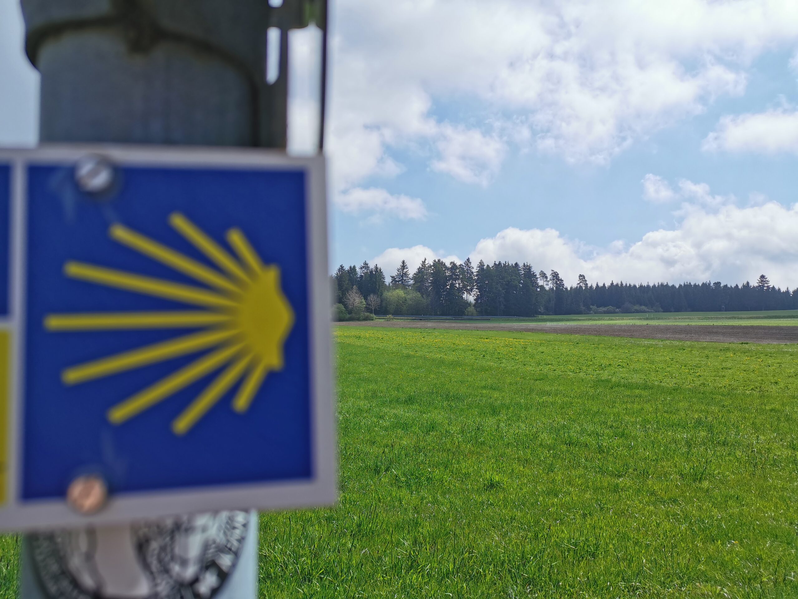 Jakobsmuschel als Wegweiser auf dem Himmelreich Jakobusweg im Schwarzwald